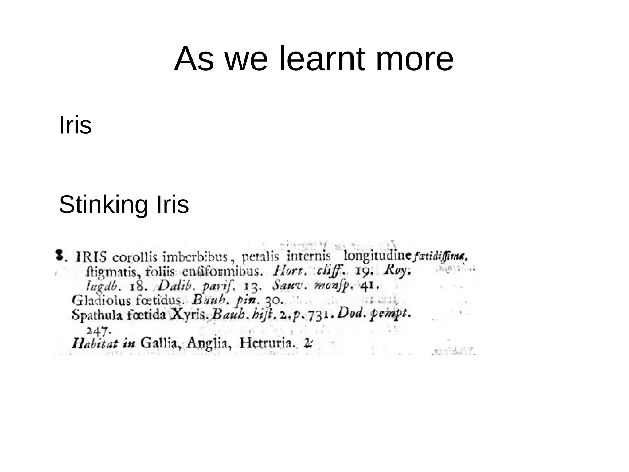 As we learnt more
Iris
Stinking Iris
 