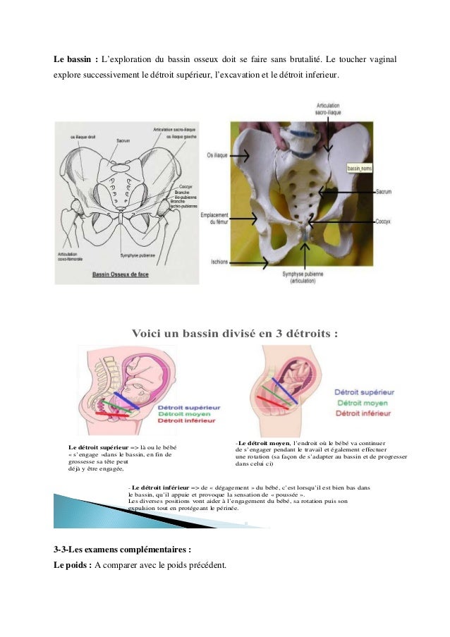 Programme De Surveillance De La Grossesse Accouchement