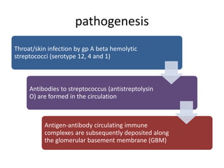pathogenesis
Throat/skin infection by gp A beta hemolytic
streptococci (serotype 12, 4 and 1)
Antibodies to streptococcus ...