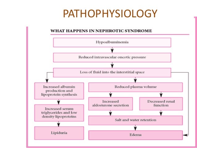 Psgn nephrotic syndrome