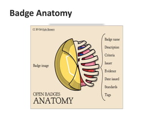 Badge Anatomy
 