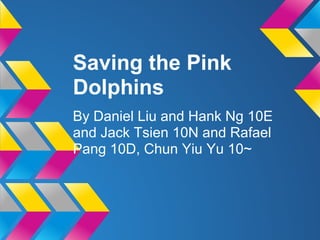 Saving the Pink
Dolphins
By Daniel Liu and Hank Ng 10E
and Jack Tsien 10N and Rafael
Pang 10D, Chun Yiu Yu 10~
 