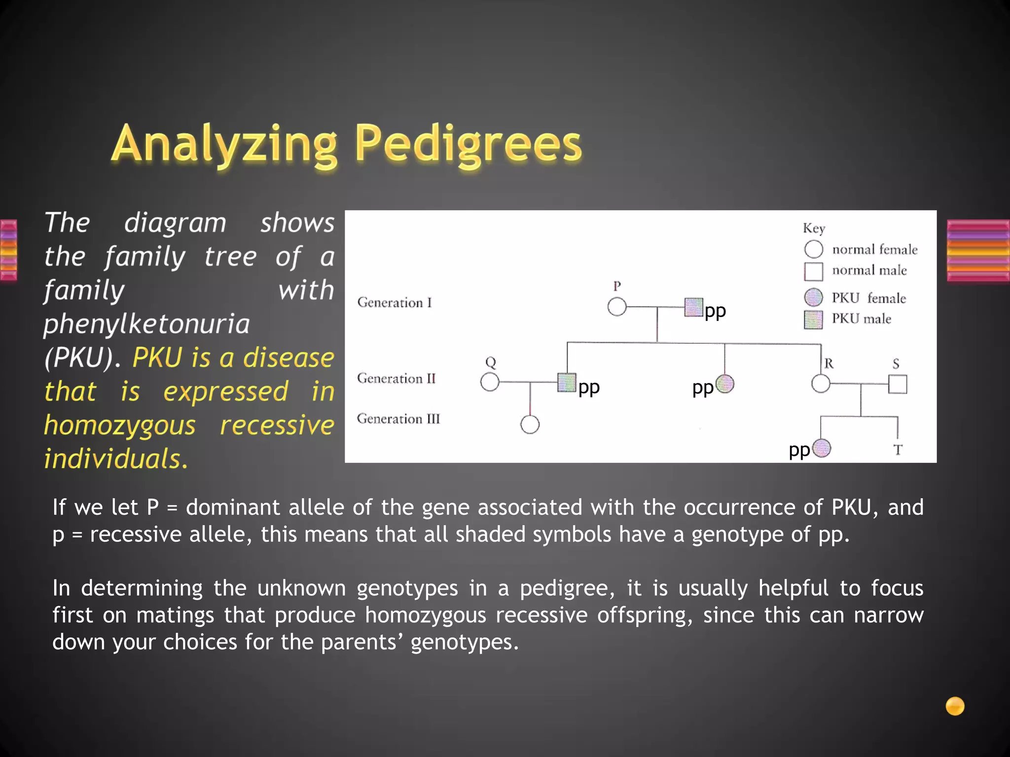 pp


                                                  pp         pp


                                                                      pp

If we let P = dominant allele of the gene associated with the occurrence of PKU, and
p = recessive allele, this means that all shaded symbols have a genotype of pp.

In determining the unknown genotypes in a pedigree, it is usually helpful to focus
first on matings that produce homozygous recessive offspring, since this can narrow
down your choices for the parents’ genotypes.
 
