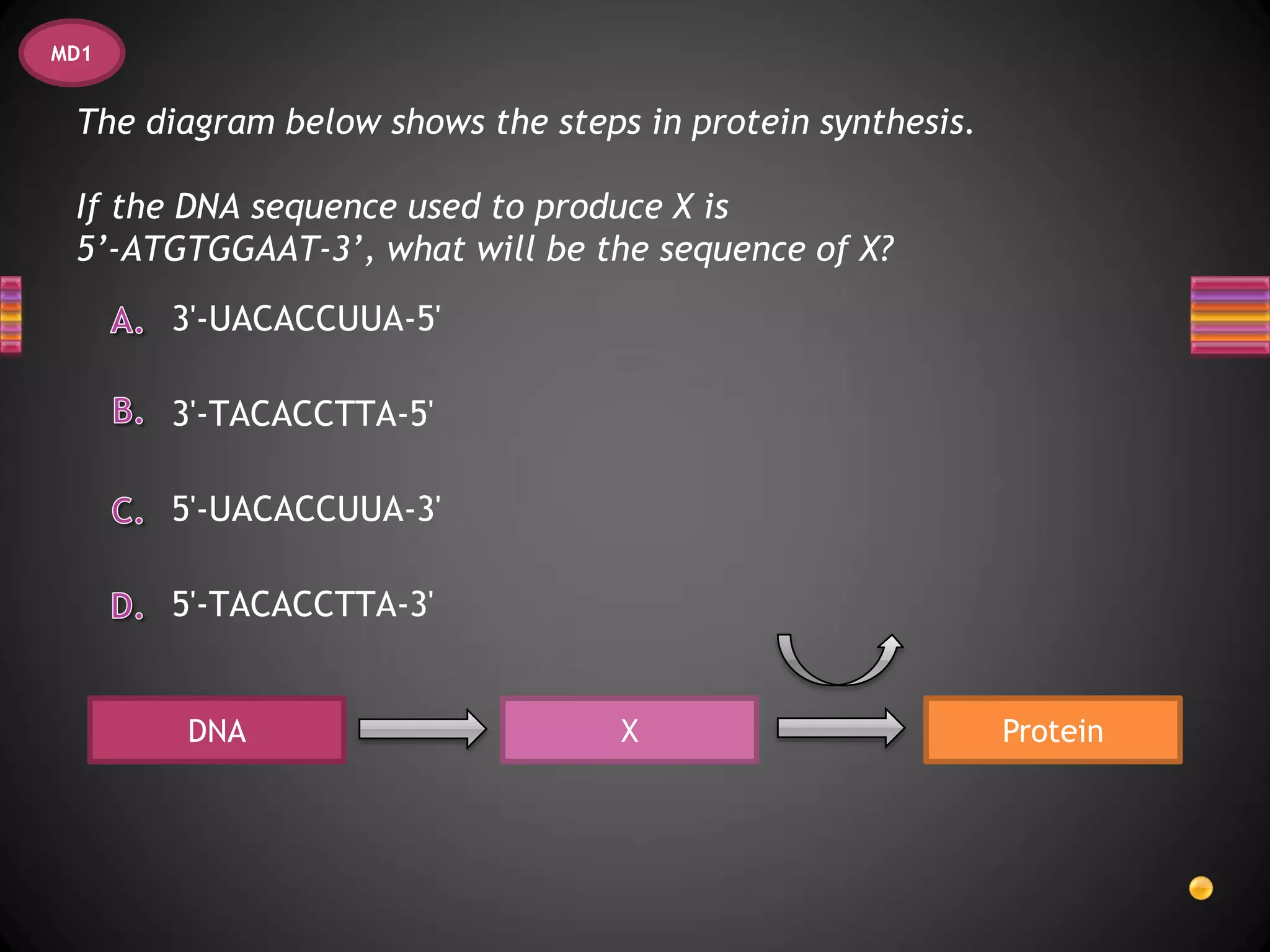 MD1


 The diagram below shows the steps in protein synthesis.

 If the DNA sequence used to produce X is
 5’-ATGTGGAAT-3’, what will be the sequence of X?
      3'-UACACCUUA-5'

      3'-TACACCTTA-5'

      5'-UACACCUUA-3'

      5'-TACACCTTA-3'


       DNA                        X                        Protein
 