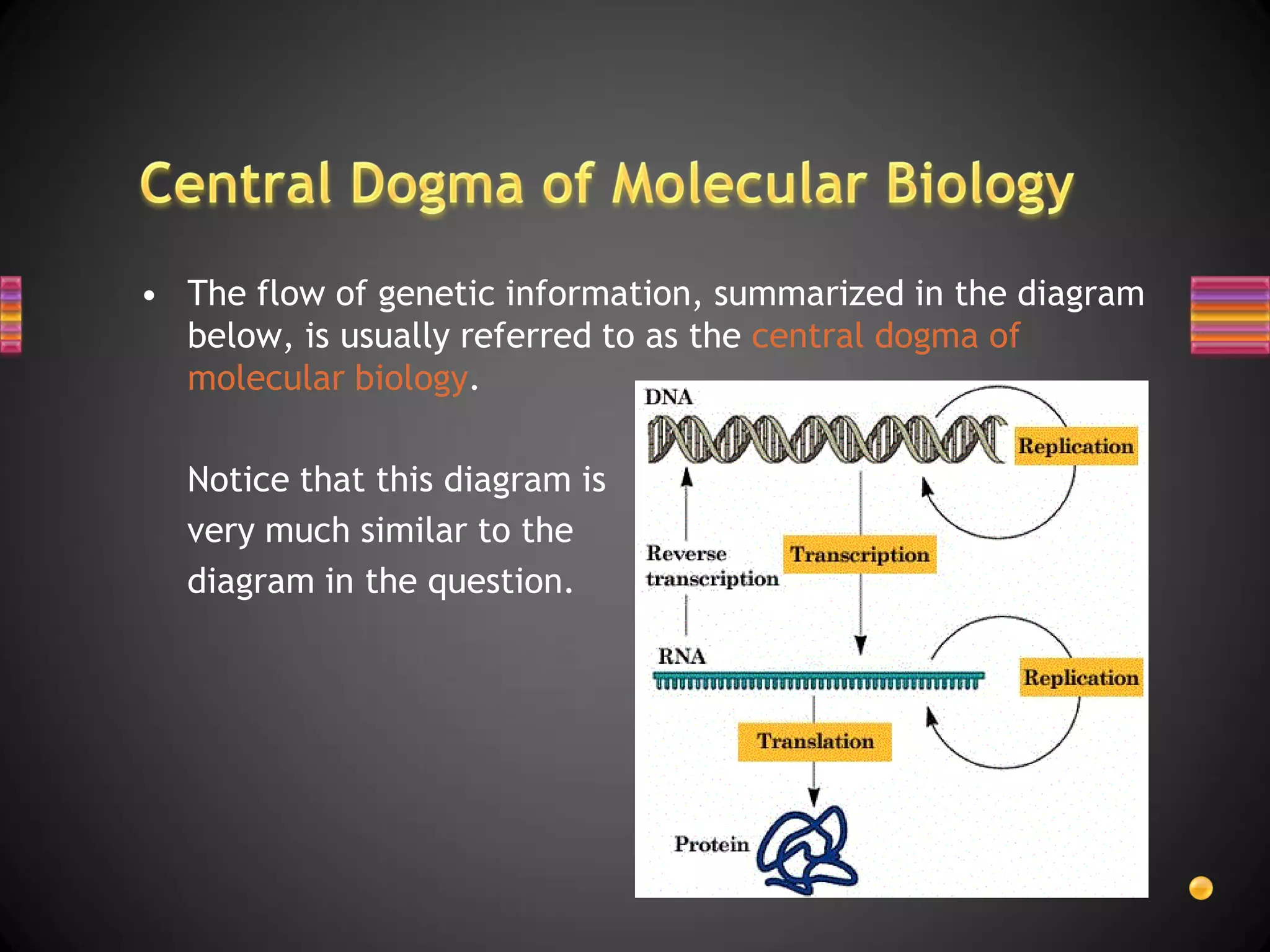 • The flow of genetic information, summarized in the diagram
  below, is usually referred to as the central dogma of
  molecular biology.

  Notice that this diagram is
  very much similar to the
  diagram in the question.
 