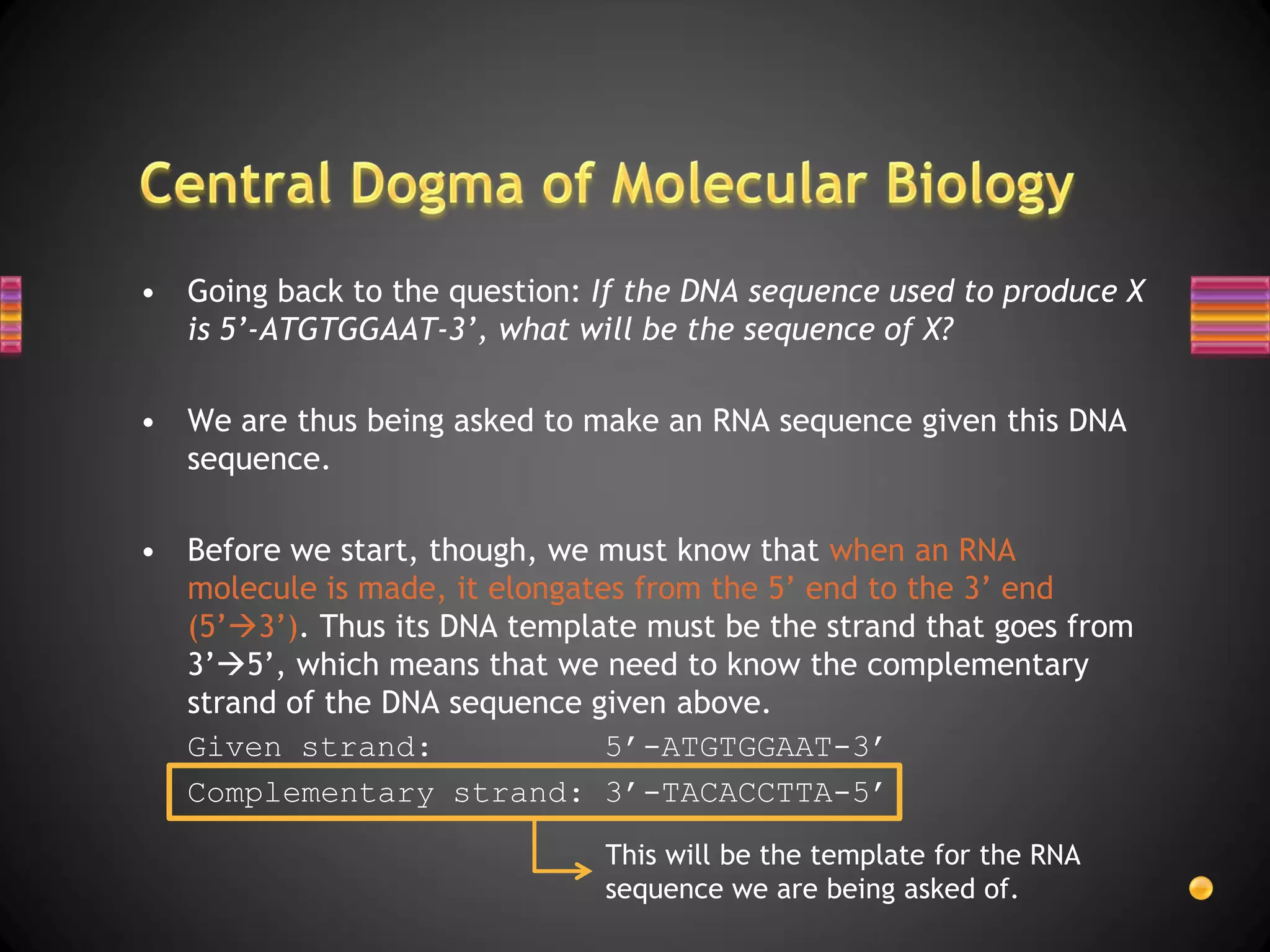 • Going back to the question: If the DNA sequence used to produce X
  is 5’-ATGTGGAAT-3’, what will be the sequence of X?

• We are thus being asked to make an RNA sequence given this DNA
  sequence.

• Before we start, though, we must know that when an RNA
  molecule is made, it elongates from the 5’ end to the 3’ end
  (5’3’). Thus its DNA template must be the strand that goes from
  3’5’, which means that we need to know the complementary
  strand of the DNA sequence given above.
  Given strand:                5’-ATGTGGAAT-3’
  Complementary strand: 3’-TACACCTTA-5’
                               This will be the template for the RNA
                               sequence we are being asked of.
 