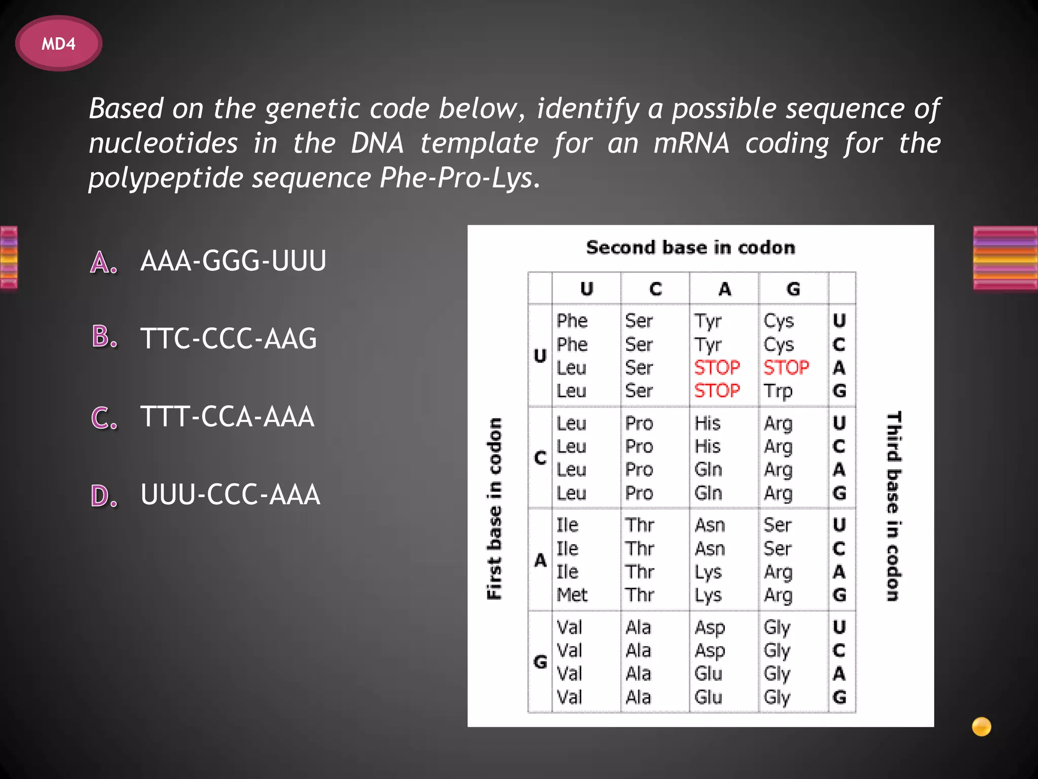 MD4


      Based on the genetic code below, identify a possible sequence of
      nucleotides in the DNA template for an mRNA coding for the
      polypeptide sequence Phe-Pro-Lys.

         AAA-GGG-UUU

         TTC-CCC-AAG

         TTT-CCA-AAA

         UUU-CCC-AAA
 
