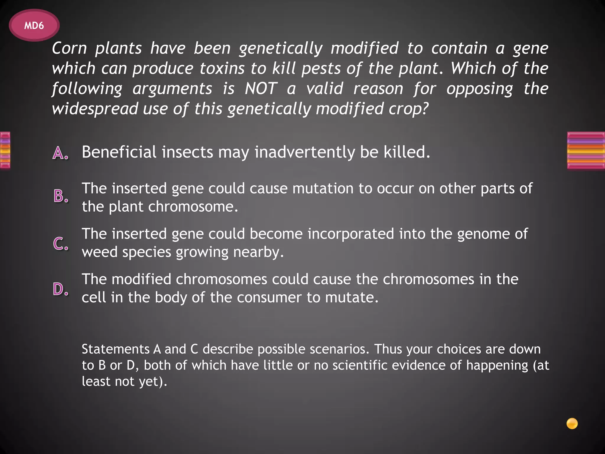 MD6

      Corn plants have been genetically modified to contain a gene
      which can produce toxins to kill pests of the plant. Which of the
      following arguments is NOT a valid reason for opposing the
      widespread use of this genetically modified crop?

         Beneficial insects may inadvertently be killed.

         The inserted gene could cause mutation to occur on other parts of
         the plant chromosome.
         The inserted gene could become incorporated into the genome of
         weed species growing nearby.
         The modified chromosomes could cause the chromosomes in the
         cell in the body of the consumer to mutate.


         Statements A and C describe possible scenarios. Thus your choices are down
         to B or D, both of which have little or no scientific evidence of happening (at
         least not yet).
 