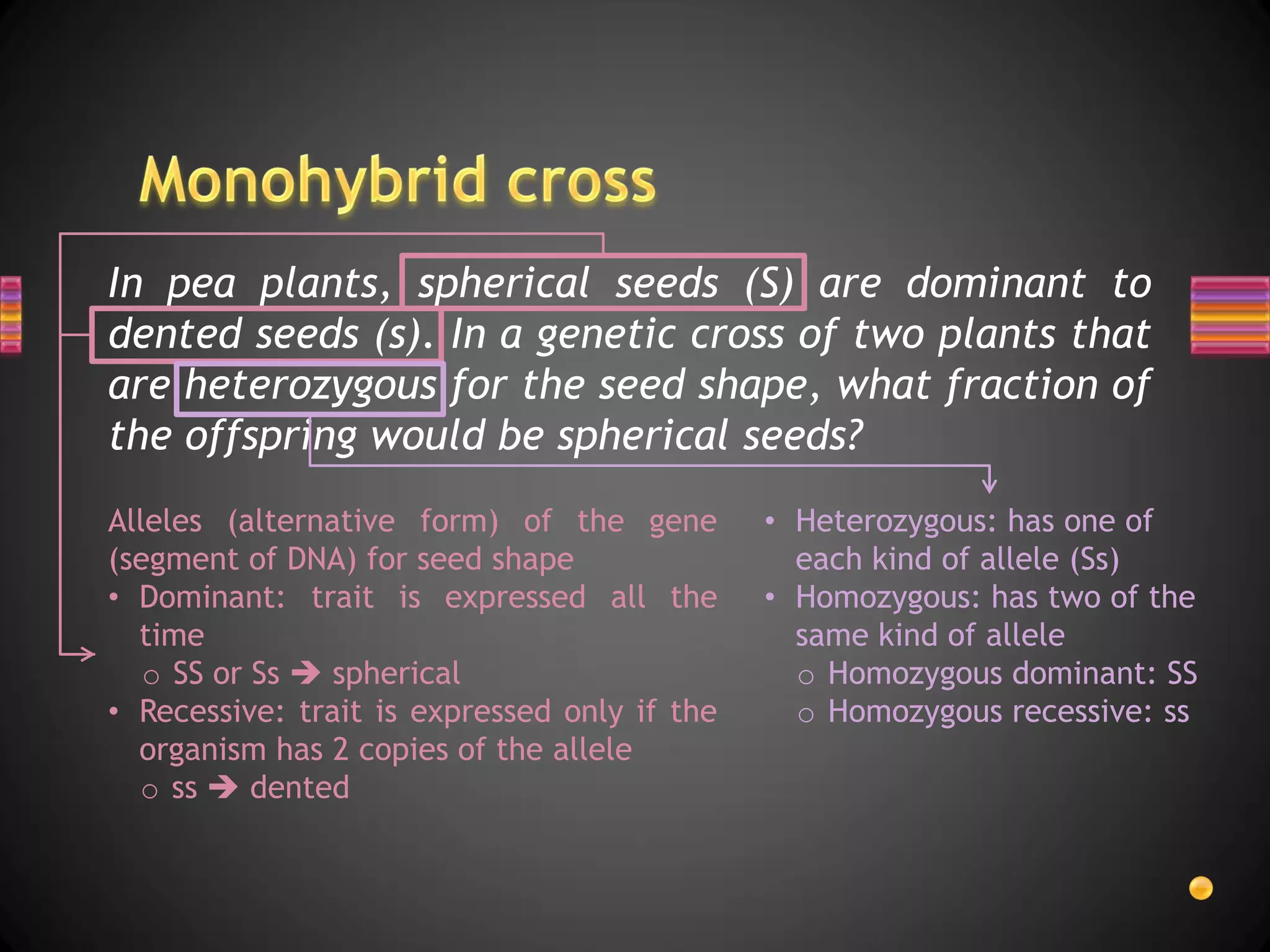 In pea plants, spherical seeds (S) are dominant to
dented seeds (s). In a genetic cross of two plants that
are heterozygous for the seed shape, what fraction of
the offspring would be spherical seeds?
Alleles (alternative form) of the gene        • Heterozygous: has one of
(segment of DNA) for seed shape                 each kind of allele (Ss)
• Dominant: trait is expressed all the        • Homozygous: has two of the
  time                                          same kind of allele
   o SS or Ss  spherical                       o Homozygous dominant: SS
• Recessive: trait is expressed only if the     o Homozygous recessive: ss
  organism has 2 copies of the allele
  o ss  dented
 