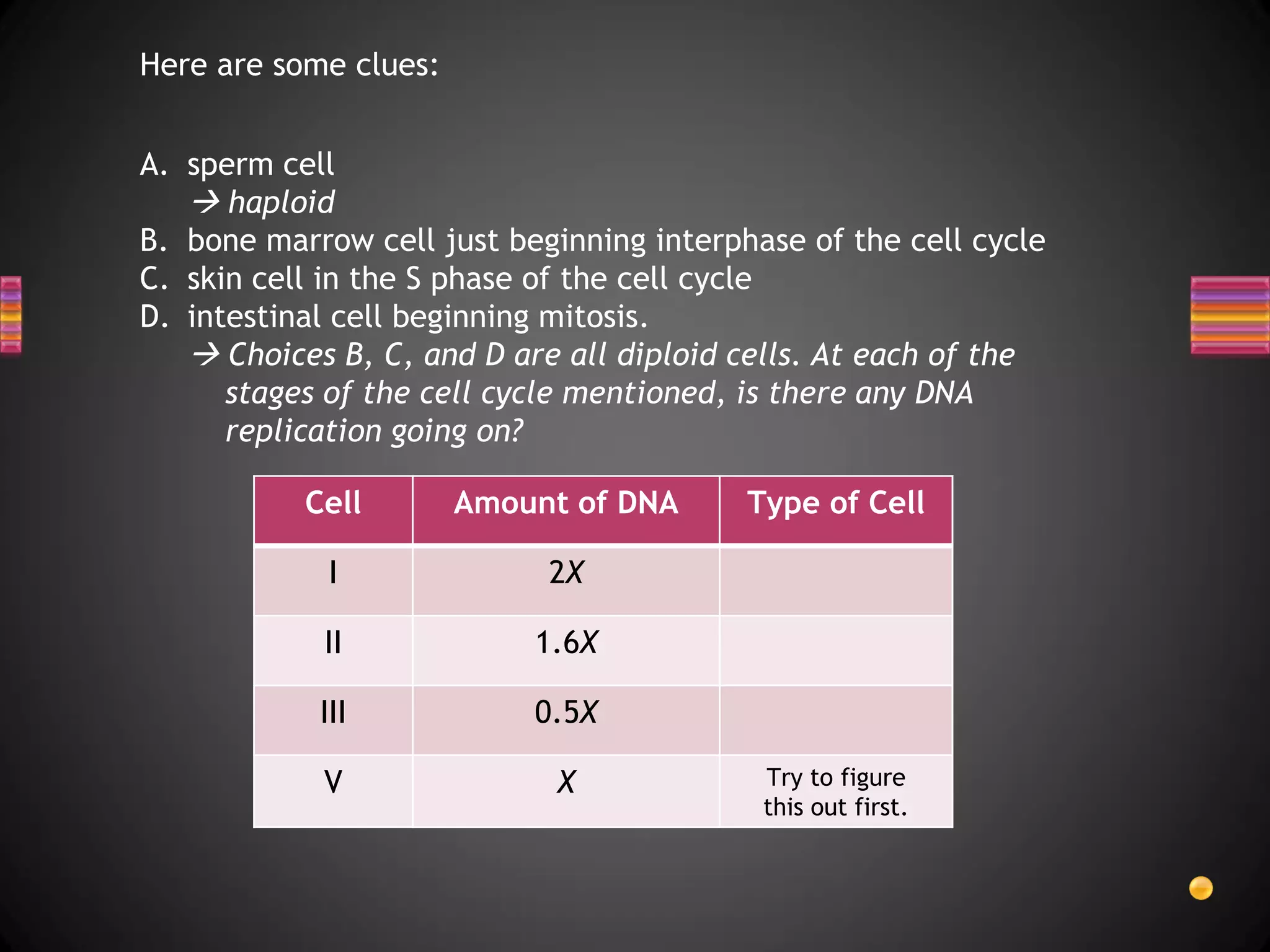 Here are some clues:


A. sperm cell
    haploid
B. bone marrow cell just beginning interphase of the cell cycle
C. skin cell in the S phase of the cell cycle
D. intestinal cell beginning mitosis.
    Choices B, C, and D are all diploid cells. At each of the
      stages of the cell cycle mentioned, is there any DNA
      replication going on?

           Cell        Amount of DNA      Type of Cell

             I              2X

            II             1.6X

            III            0.5X

            V                X             Try to figure
                                           this out first.
 