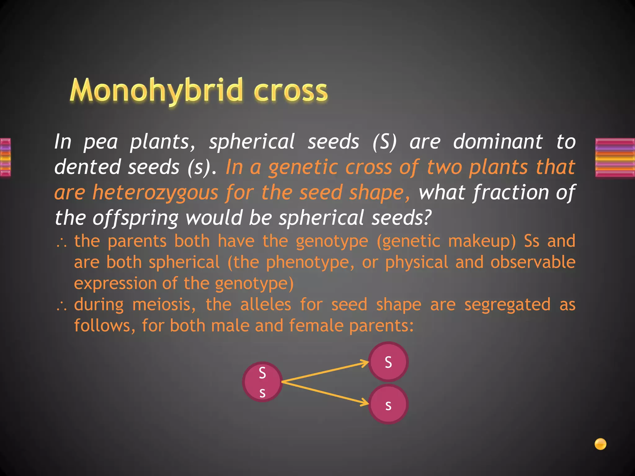 In pea plants, spherical seeds (S) are dominant to
dented seeds (s). In a genetic cross of two plants that
are heterozygous for the seed shape, what fraction of
the offspring would be spherical seeds?
  the parents both have the genotype (genetic makeup) Ss and
  are both spherical (the phenotype, or physical and observable
  expression of the genotype)
  during meiosis, the alleles for seed shape are segregated as
  follows, for both male and female parents:

                                       S
                        S
                        s
                                       s
 