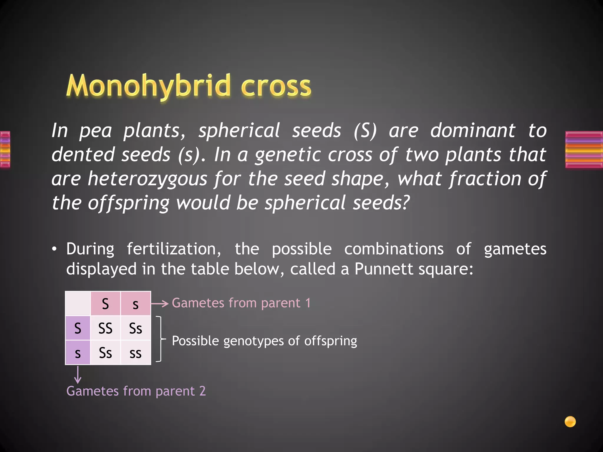 In pea plants, spherical seeds (S) are dominant to
dented seeds (s). In a genetic cross of two plants that
are heterozygous for the seed shape, what fraction of
the offspring would be spherical seeds?

• During fertilization, the possible combinations of gametes
  displayed in the table below, called a Punnett square:

      S    s    Gametes from parent 1
  S   SS   Ss
                Possible genotypes of offspring
  s   Ss   ss

 Gametes from parent 2
 