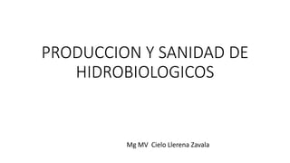 PRODUCCION Y SANIDAD DE
HIDROBIOLOGICOS
Mg MV Cielo Llerena Zavala
 