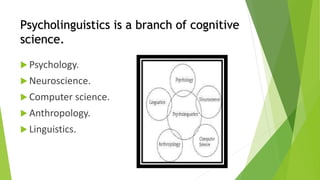 Psycholinguistics is a branch of cognitive 
science. 
 Psychology. 
 Neuroscience. 
 Computer science. 
 Anthropology. 
 Linguistics. 
 
