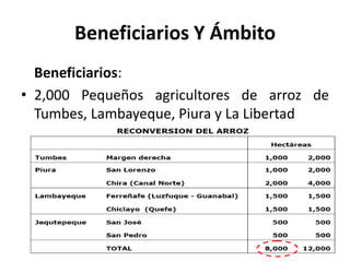 Beneficiarios Y Ámbito
  Beneficiarios:
• 2,000 Pequeños agricultores de arroz de
  Tumbes, Lambayeque, Piura y La Libertad
 