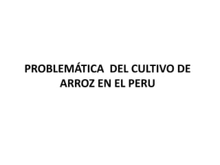 PROBLEMÁTICA DEL CULTIVO DE
     ARROZ EN EL PERU
 