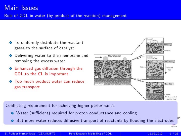 simulation of GDL in PEM Fuel cells