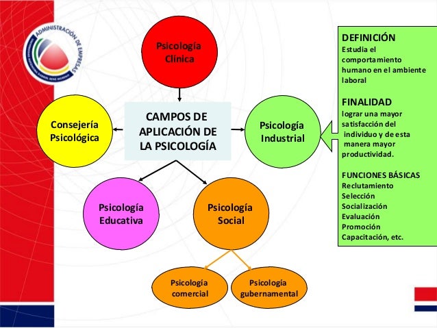 Psi 300 psicología general