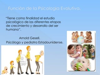 Funciòn de la Psicologìa Evolutiva.
“Tiene como finalidad el estudio
psicológico de las diferentes etapas
de crecimiento y desarrollo del ser
humano”.
Arnold Gesell.
Psicólogo y pediatra Estadounidense.
 
