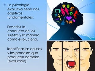  La psicología
evolutiva tiene dos
objetivos
fundamentales:
Describir la
conducta de los
sujetos y la manera
como evoluciona.
Identificar las causas
y los procesos que
producen cambios
(evolución).
 