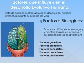 Factores que Influyen en el
desarrollo Evolutivo Humano.
Trata de explicar cuatros factores en donde el ser humano
interactua durante su proceso de vida
1) Factores Biologicos:
Es la transmisiòn de ciertos rasgos y
caracterìsticas de un individuo a
sus descendientes, se dividen en:
Factores genéticos.
Factores prenatales.
Factores perinatales.
Factores postnatales.
Factores ambientales.
 