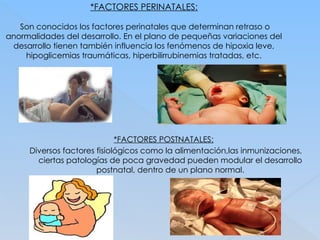 *FACTORES PERINATALES:
Son conocidos los factores perinatales que determinan retraso o
anormalidades del desarrollo. En el plano de pequeñas variaciones del
desarrollo tienen también influencia los fenómenos de hipoxia leve,
hipoglicemias traumáticas, hiperbilirrubinemias tratadas, etc.
*FACTORES POSTNATALES:
Diversos factores fisiológicos como la alimentación,las inmunizaciones,
ciertas patologías de poca gravedad pueden modular el desarrollo
postnatal, dentro de un plano normal.
 
