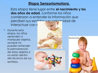 Etapa Sensoriomotora.
Esta etapa tiene lugar entre el nacimiento y los
dos años de edad, conforme los niños
comienzan a entender la información que
perciben sus sentidos y su capacidad de
interactuar con el mundo.
 Durante esta
etapa, los niños
aprenden a
manipular objetos,
aunque no
pueden entender
la permanencia
de estos objetos si
no están dentro
del alcance de sus
sentidos.
 