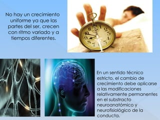 No hay un crecimiento
uniforme ya que las
partes del ser, crecen
con ritmo variado y a
tiempos diferentes.
En un sentido técnico
estricto, el cambio de
crecimiento debe aplicarse
a las modificaciones
relativamente permanentes
en el substracto
neuroanatómico y
neurofisiológico de la
conducta.
 