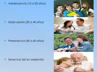  Adolescencia (12 a 20 años)
 Edad adulta (20 a 40 años)
 Presenectud (40 a 60 años)
 Senectud (60 en adelante)
 