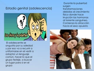 Estadio genital (adolescencia)
Durante la pubertad
surgen
transformaciones
debidas al crecimiento
físico donde hace
irrupción las hormonas
al torrente sanguíneo.
Comienza la atracción
hacia el sexo opuesto
El adolescente se
angustia por su soledad
y por eso va a recurrir a
uniformarse en el vestir a
adoptar un lenguaje
común, hacer lo que el
grupo festeje, a buscar
un lugar para si en el
grupo
 