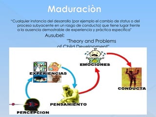 Maduraciòn
“Cualquier instancia del desarrollo (por ejemplo el cambio de status o del
proceso subyacente en un rasgo de conducta) que tiene lugar frente
a la ausencia demostrable de experiencia y práctica especifica"
Ausubel:
"Theory and Problems
of Child Development"
 