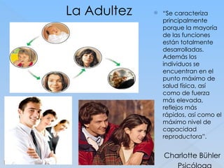 La Adultez  “Se caracteriza
principalmente
porque la mayoría
de las funciones
están totalmente
desarrolladas.
Además los
individuos se
encuentran en el
punto máximo de
salud física, así
como de fuerza
más elevada,
reflejos más
rápidos, así como el
máximo nivel de
capacidad
reproductora”.
Charlotte Bühler
 