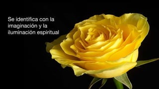 Se identiﬁca con la
imaginación y la
iluminación espiritual
 