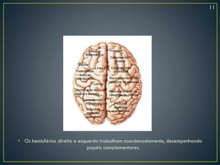 • Os hemisférios direito e esquerdo trabalham coordenadamente, desempenhando
papéis complementares.
11
 
