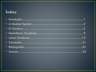 • Introdução………………….………………………………1
• A Medula Espinal…………….…………………………….2
• O Cérebro…………………………………………………5
• Hemisférios Cerebrais……………………………………. .9
• Lobos Cerebrais……………………………….………….12
• Conclusão………………………………..………………...21
• Bibliografia……………………………………………….23
• Anexos…………………………………………………….25
 