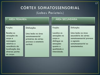 • ÁREA PRIMÁRIA • ÁREA SECUNDÁRIA
Função:
Recebe as
sensações do
corpo e
mensagens
relativas a
consciência da
localização das
diversas partes
do corpo.
Disfunção:
Uma lesão na área
somatossensorial
primárias do córtex
provoca a anestesia
cortical.
Função:
Localiza as
sensações no
corpo e
distingue as
sensações
quanto a
qualidade e
intensidade.
Disfunção:
Uma lesão na área
secundária do córtex
somatossensorial provoca
a agnosia
somatossensorial ou
somatestesica.
17
 