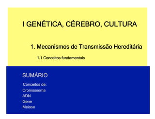 I GENÉTICA, CÉREBRO, CULTURA


    1. Mecanismos de Transmissão Hereditária
       1.1 Conceitos fundamentais



SUMÁRIO
Conceitos de:
Cromossoma
ADN
Gene
Meiose
 