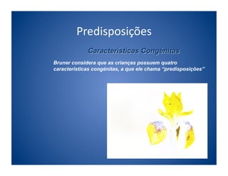 Predisposições	
  

Bruner considera que as crianças possuem quatro
características congénitas, a que ele chama “predisposições”
 