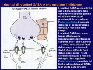 I due tipi di recettori GABA-A che mediano l’inibizione
I recettori GABA-A con affinità
per le benzodiazepine (che
conteng...
