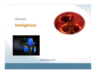 PSICOLOGIA


Inteligência
A Mente e o Significado




               Jorge Barbosa, 2010
 