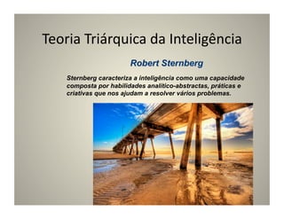 Teoria	
  Triárquica	
  da	
  Inteligência	
  

     Sternberg caracteriza a inteligência como uma capacidade
     composta por habilidades analítico-abstractas, práticas e
     criativas que nos ajudam a resolver vários problemas.
 