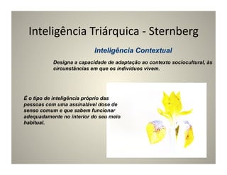 Inteligência	
  Triárquica	
  -­‐	
  Sternberg	
  

           Designa a capacidade de adaptação ao contexto sociocultural, às
           circunstâncias em que os indivíduos vivem.




É o tipo de inteligência próprio das
pessoas com uma assinalável dose de
senso comum e que sabem funcionar
adequadamente no interior do seu meio
habitual.
 