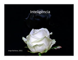 Inteligência	
  




Jorge	
  Barbosa,	
  2011	
  
 