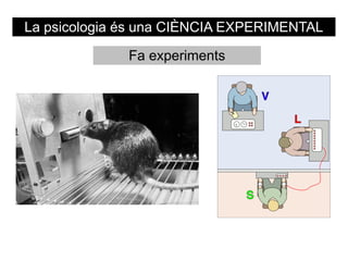 La psicologia és una CIÈNCIA EXPERIMENTAL

              Fa experiments
 