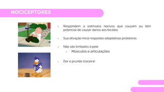 NOCICEPTORES
• Respondem a estímulos nocivos que causam ou têm
potencial de causar danos aos tecidos
• Sua ativação inicia respostas adaptativas protetoras
• Não são limitados à pele
• Músculos e articulações
• Dor e prurido (coceira)
 
