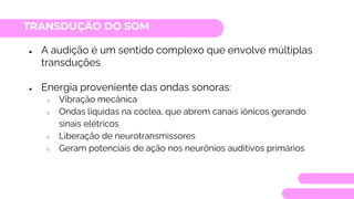 TRANSDUÇÃO DO SOM
● A audição é um sentido complexo que envolve múltiplas
transduções
● Energia proveniente das ondas sonoras:
○ Vibração mecânica
○ Ondas líquidas na cóclea, que abrem canais iônicos gerando
sinais elétricos
○ Liberação de neurotransmissores
○ Geram potenciais de ação nos neurônios auditivos primários
 