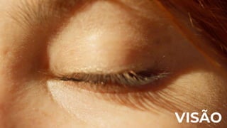 VISÃO
 