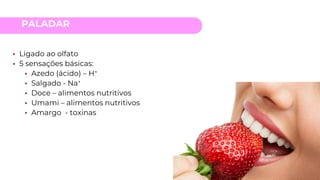 PALADAR
• Ligado ao olfato
• 5 sensações básicas:
• Azedo (ácido) – H+
• Salgado - Na+
• Doce – alimentos nutritivos
• Umami – alimentos nutritivos
• Amargo - toxinas
 