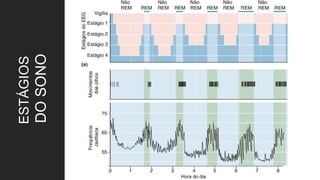 ESTÁGIOS
DO
SONO
 