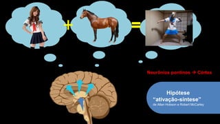 Hipótese
“ativação-síntese”
de Allan Hobson e Robert McCarley
Neurônios pontinos → Córtex
 